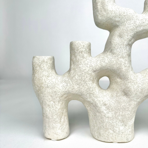 Picture of Coral Center Piece